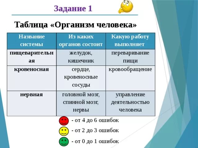 Из каких органов состоит пищеварительная система. Какую работу выполняет пищеварительная система. Органы человека таблица. Какую работу выполняет нервная система.