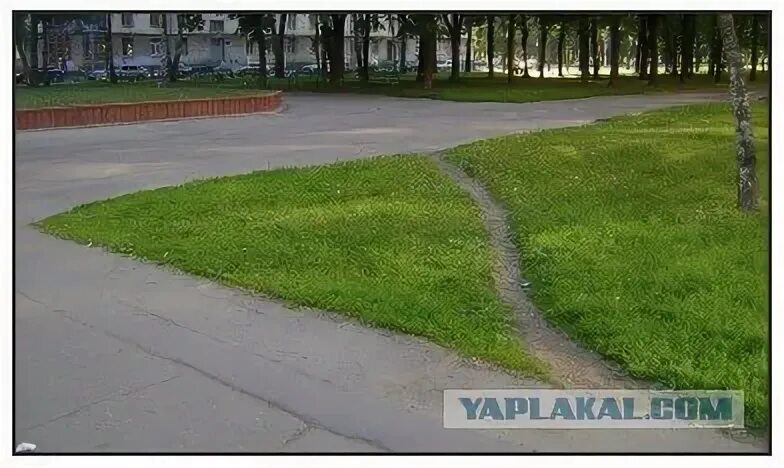 Хорошо утоптанная тропинка привела к живописному