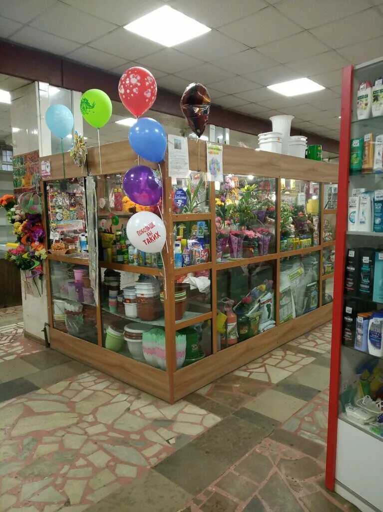 Магазин семена октябрьский. 1 линия 7 ростов на дону. Цветочка тула. Магазин семена. Октябрьская 60 орел.