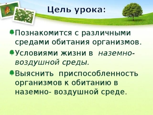 Приспособленность организмов к наземно-воздушной среде. Приспособленность организмов к жизни в наземно-воздушной среде. Приспособления организмов к наземно-воздушной среде обитания. Приспособления живых организмов к наземно-воздушной среде. Свойства наземно воздушной среды обитания 5