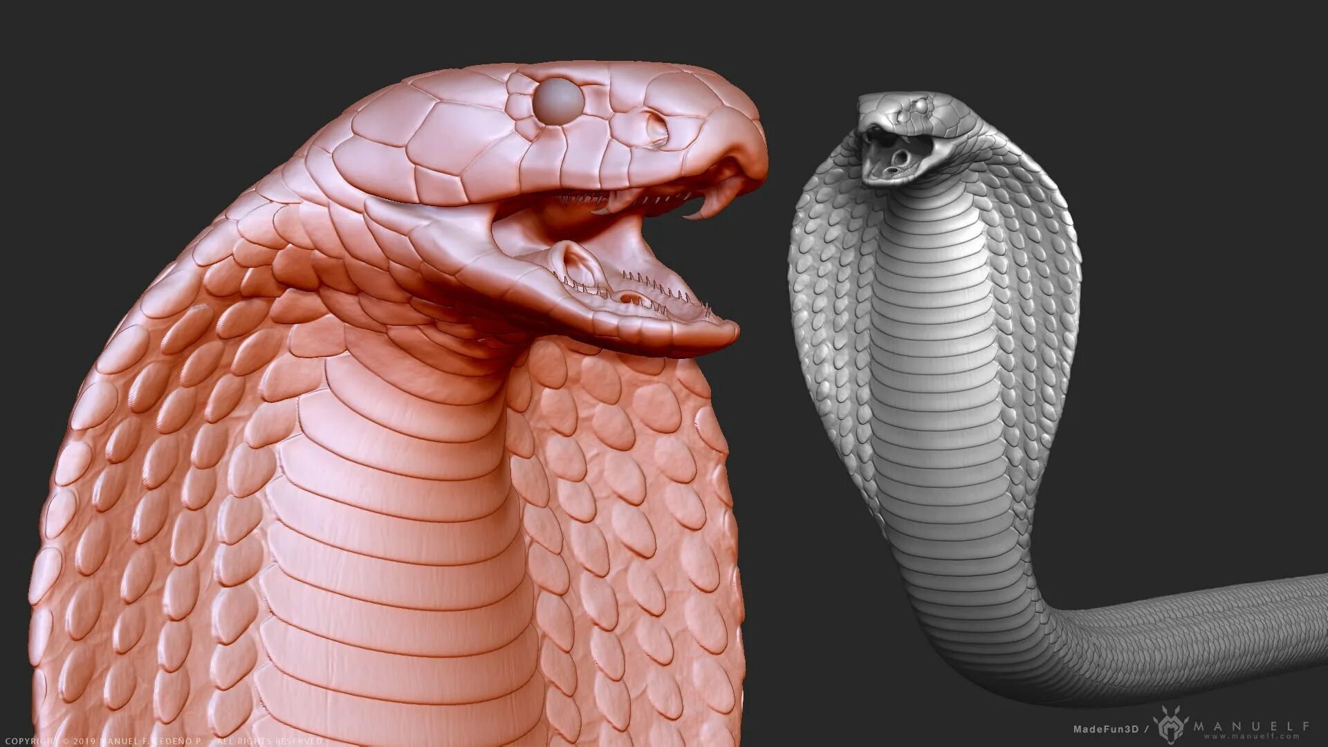 Cobra 3d. Королевская Кобра Трёхглавая. Cobra 3d model. Змея Кобра Королевская. Чешуя королевской кобры.