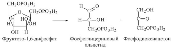 3-Фосфоглицериновый альдегид формула. Фруктозо 1 6 дифосфат формула. Фруктозо-1.6-дифосфат 3-фосфоглицериновый альдегид фосфодиоксиацетон. Формула 3 фосфоглицеринового альдегида.