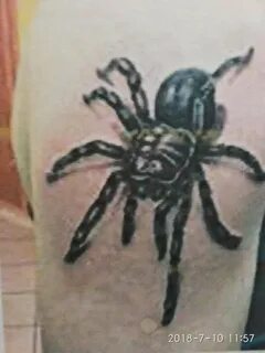 Өрмекші торы бар татуировкасы бар порножұлдыз