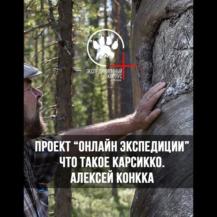 Карсико