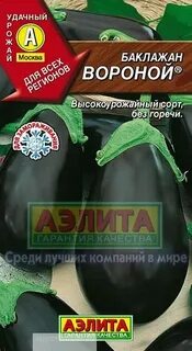 Баклажан сосновоборск