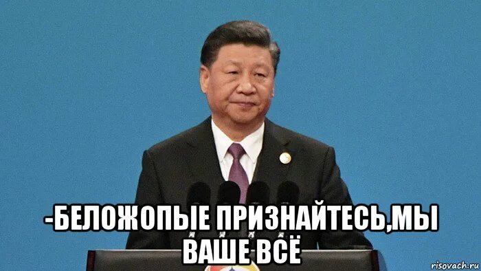 Буэнос диас педрилас. Meme si. Тыква мем шаблон. Буэнос диас собака. Si мем.