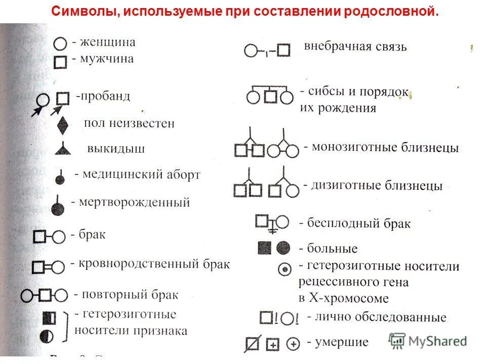 Символы для составления родословной. Знак погрузчик запрещен. Потраченный символ. Знаки эксплуатации. Знаки безопасности на оборудовании.