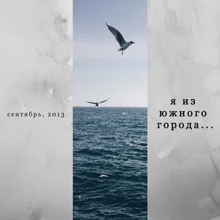 Любимые строки любимых поэтов