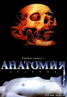 Анатомия 2000