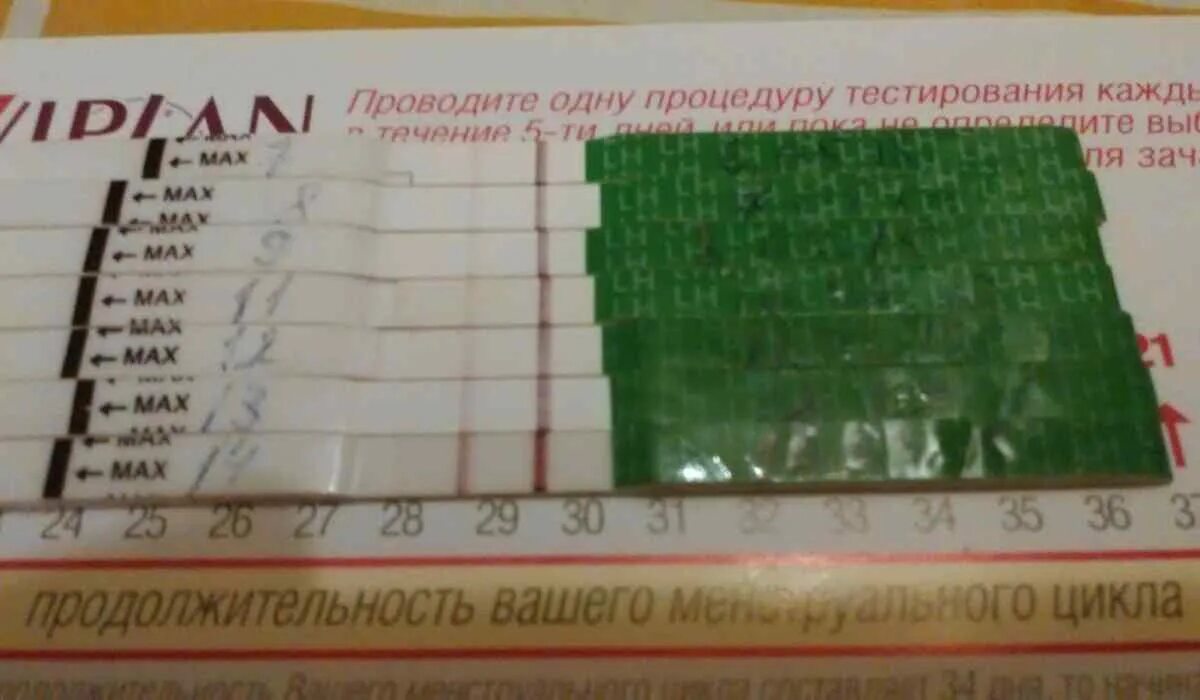 Как проверить есть ли овуляция