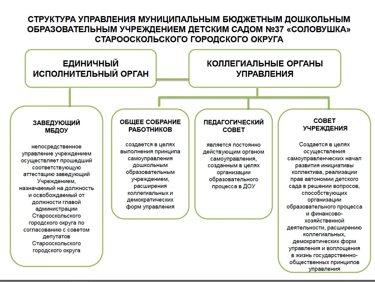 Формы самоуправления учреждения. Структура управления ДОУ формы самоуправления.