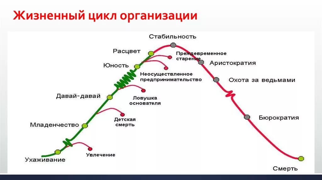 Стадии жизненного цикла фирмы. Адизес цикл. График жизненного цикла организации. Диаграмма жизненного цикла организации \.