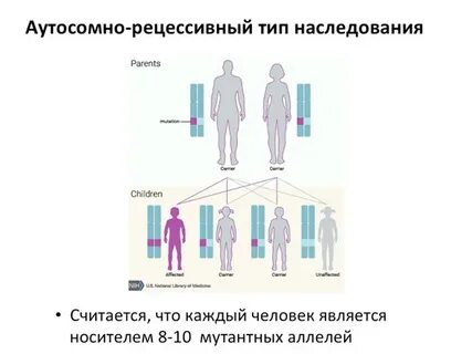 Аутосомная аллель