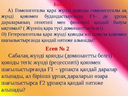 HD сапалы лас фотосуреттер