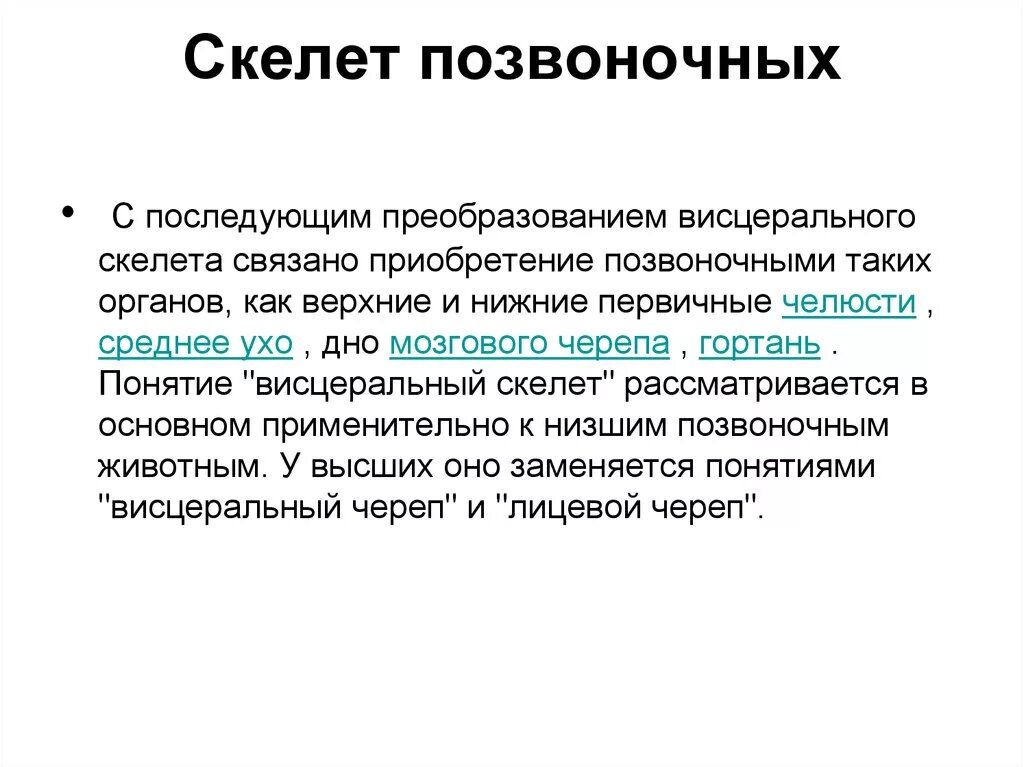 Эволюция висцерального скелета. Висцеральный скелет это в биологии. Развитие висцерального скелета позвоночных.