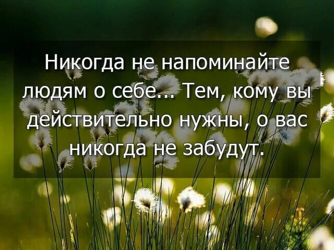 5 класс статусы. Расстояние трудности и время три фактора. Расстояние трудности и время три фактора которые отлично. Время отлично фильтрует людей. Три фактора которые отлично фильтруют людей.