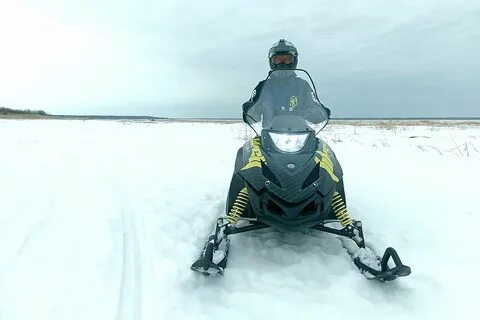 Тини тикси