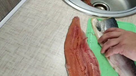 Засолка горбуши видео