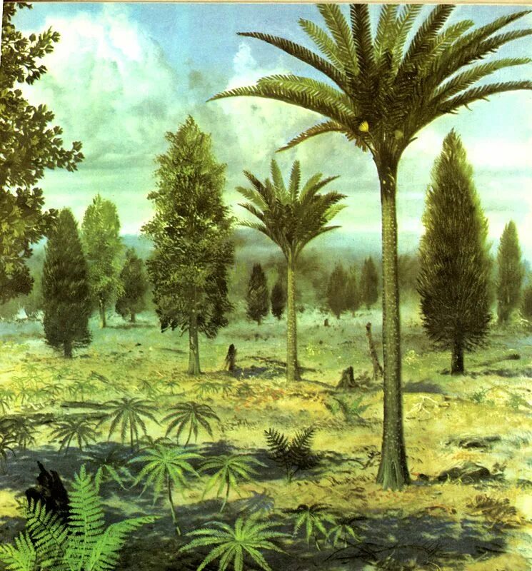 палеозойская эра триасовый период. юрский период триасовый период. триасовый период мезозойской эры растения. растения триасового периода. триасовый период зденек буриан.