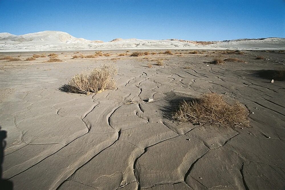 солончак салар-де-атакама в чили. засоление почвы в пустыне. засоление почвы в пустыне. россия солончак солончак. засохшее озеро.