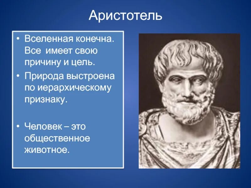 Аристотель портрет. Аристотель Общественное животное. Вселенная Аристотеля. Аристотель о человеке.