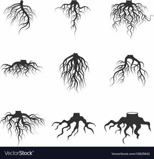 Корень черн