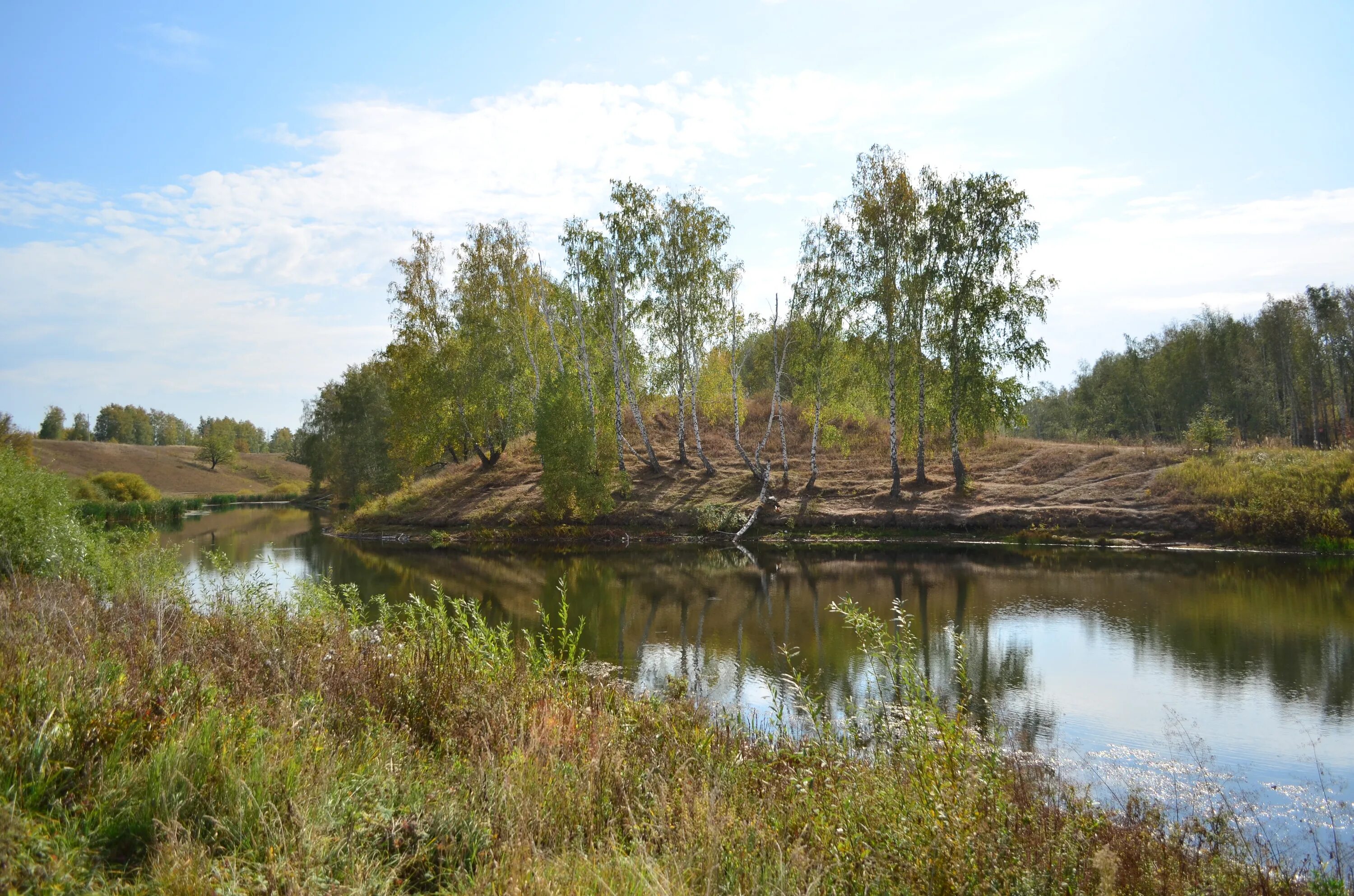Верхний навершковский пруд рыбалка. Воронинский ручей. Пруд в овраге. Овраг с водоемом. Дамба на ручье.