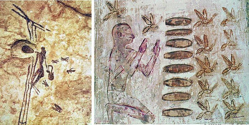 Самое раннее упоминание. Наскальные рисунки древнего Египта. Пчеловодство в древнем Египте. Мед в древнем Египте. Разведение пчел древний Египте.