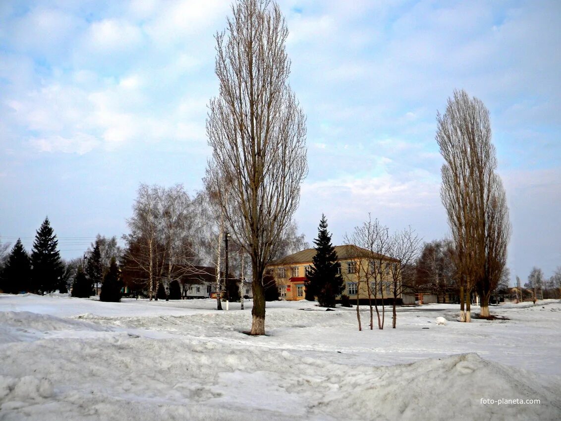 Погода село прохоровское. С Холодное Прохоровский район Белгородской области. Село Холодное Прохоровского района. Село Холодное Белгородская область. Прелестное Прохоровский район.