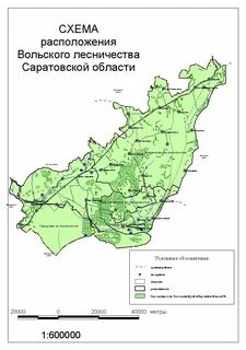 Наименование лесничества