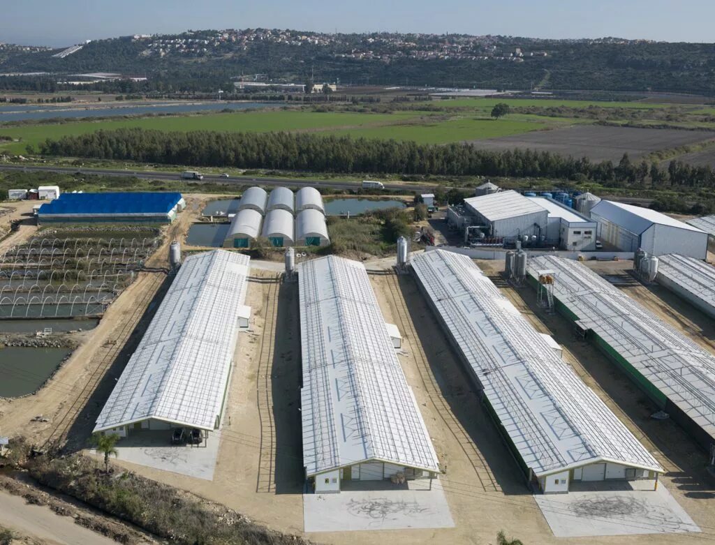 комплекс южный ингушетия. проект птицекомплекса. птицекомплекс южный ингушетия. птицекомплекс южный, республика ингушетия. комплекс южный ингушетия.