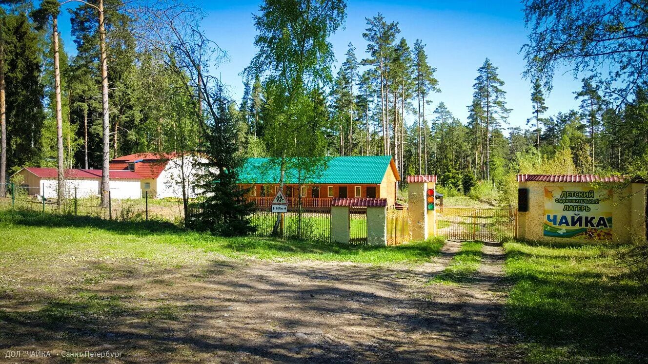 Сухой дол. Дол Чайка Ленинградская область. Лагерь Чайка Междуреченск. Лагерь Чайка Ленинградская область Колосково. Дол Чайка Ленинградская область Васкелово.