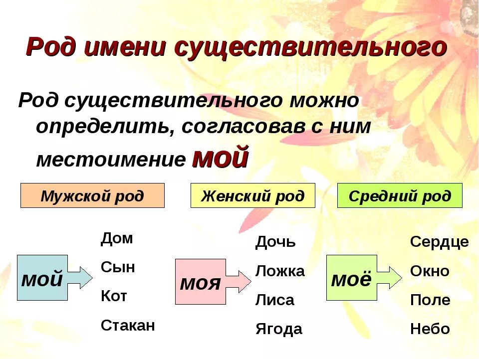 Связь род слова