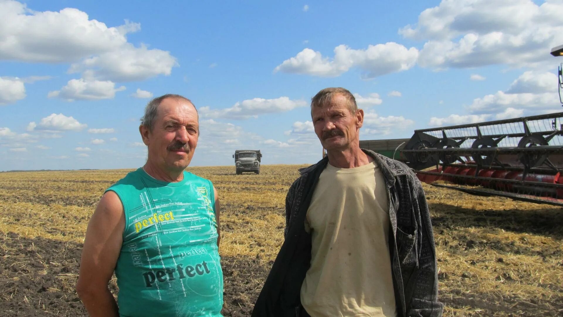 Уборка урожая ЗАО Макеево. Уборочная ЗАО Макеево. Ооо труженик