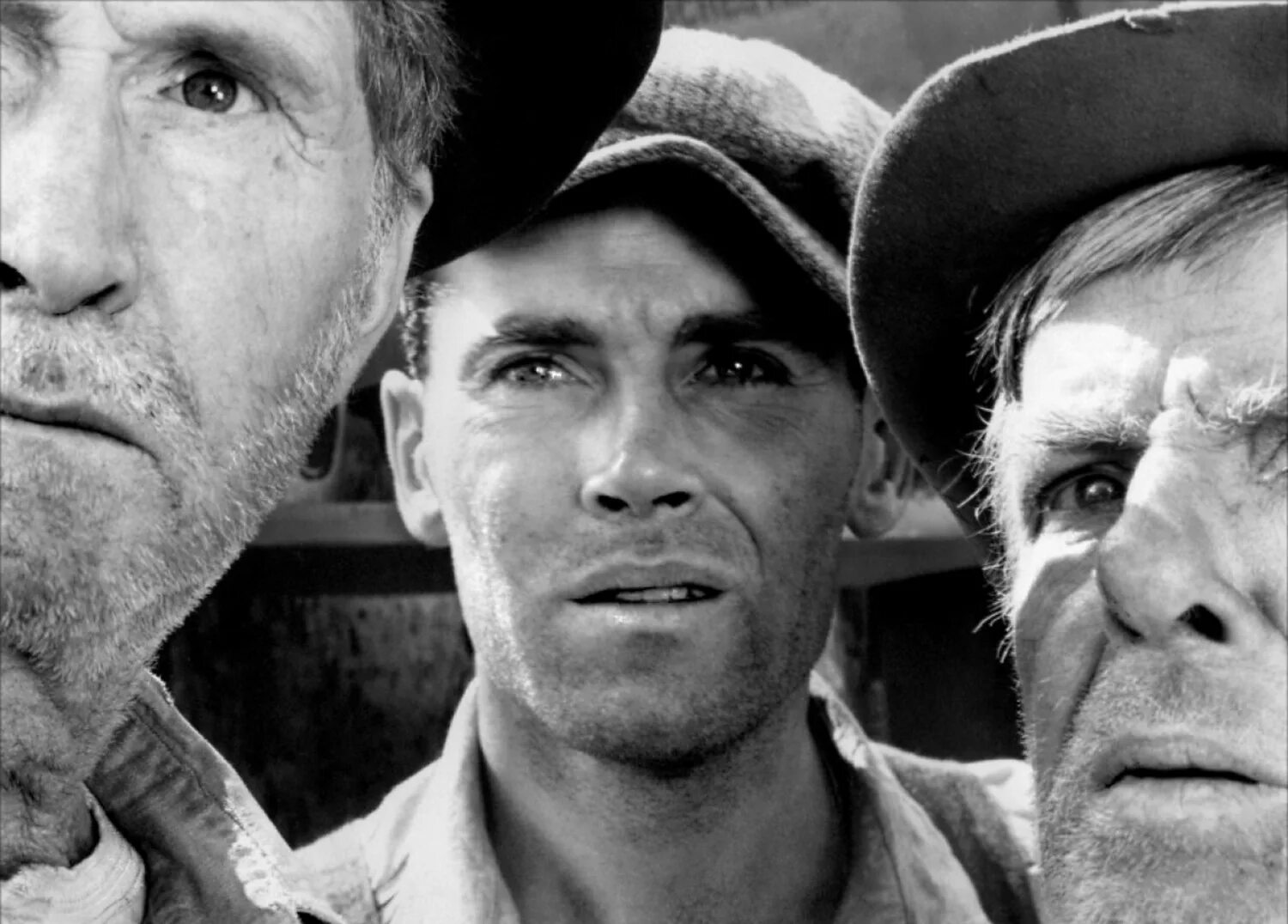 The grapes of wrath