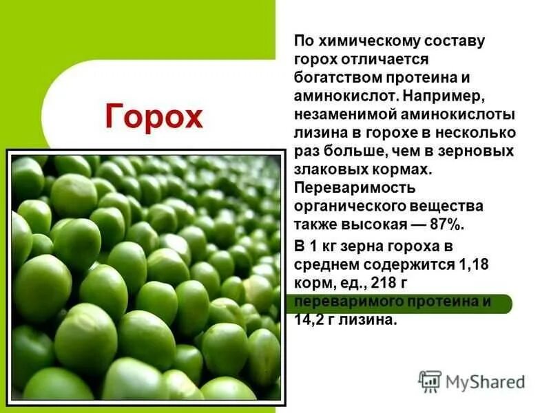 Горох содержание белков жиров углеводов. Витамины в горохе. Чем полезен горох. Горох польза. Полезные вещества в зеленом горошке.