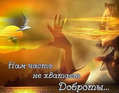 Душе не хватает любви