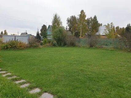 Зеленый бор дачи