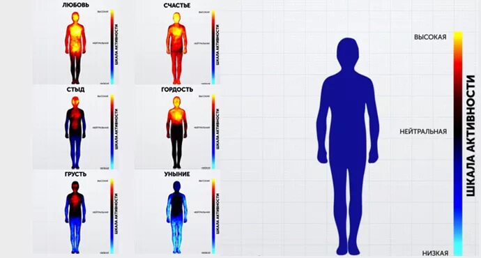 Восприятие температуры человеком. Тепловая карта эмоций человека. Температурная карта эмоций. Эмоции и ощущения в теле. Ощущение эмоций в теле человека.