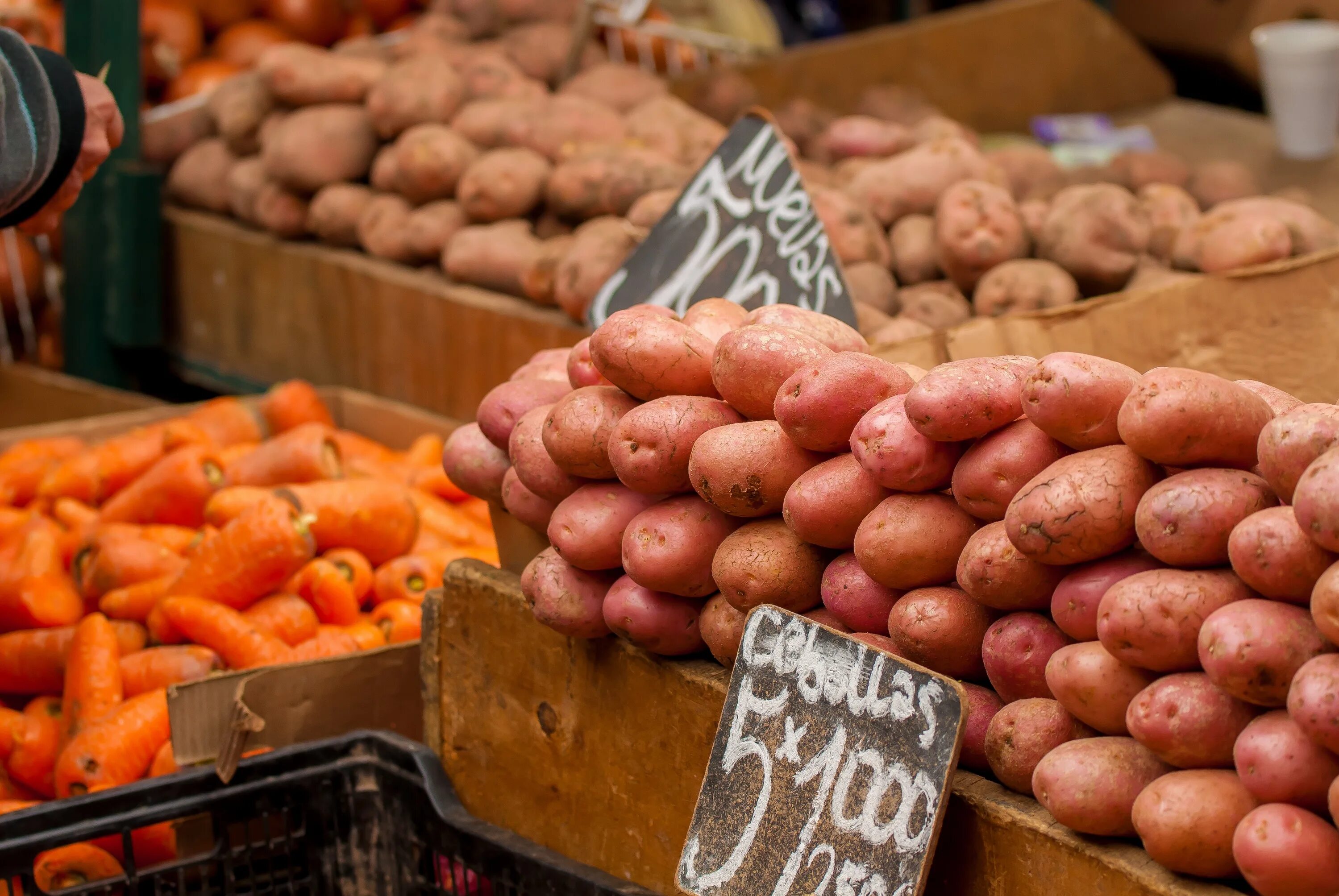 Картошка овощ или фрукт. Картошка на рынке. Картофель на прилавке. Овощной рынок. Овощной рынок картошка.