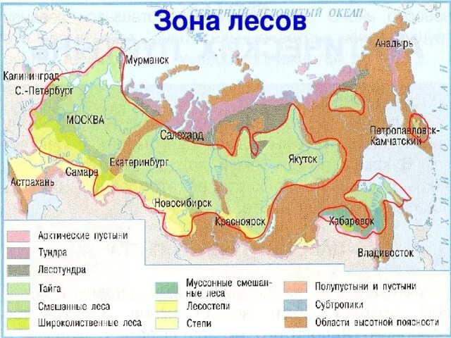 Подготовка к природным зонам. Природные зоны центральной России на карте. Природные зоны России ВПР 4 кл. Карта природных зон России 4 ВПР. Карта природных зон России 4 класс окружающий мир.