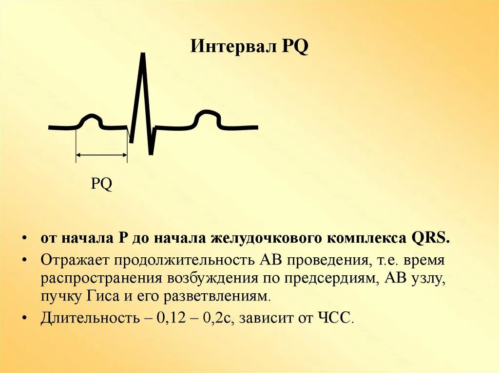 Увеличение интервала pq. Удлиненный интервал PQ на ЭКГ. Удлинение интервала PQ на ЭКГ. P Q интервал на ЭКГ отражает. Интервал PQ на электрокардиограмме отражает.