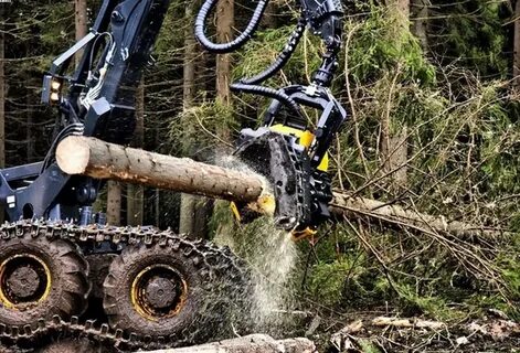 Tree harvester