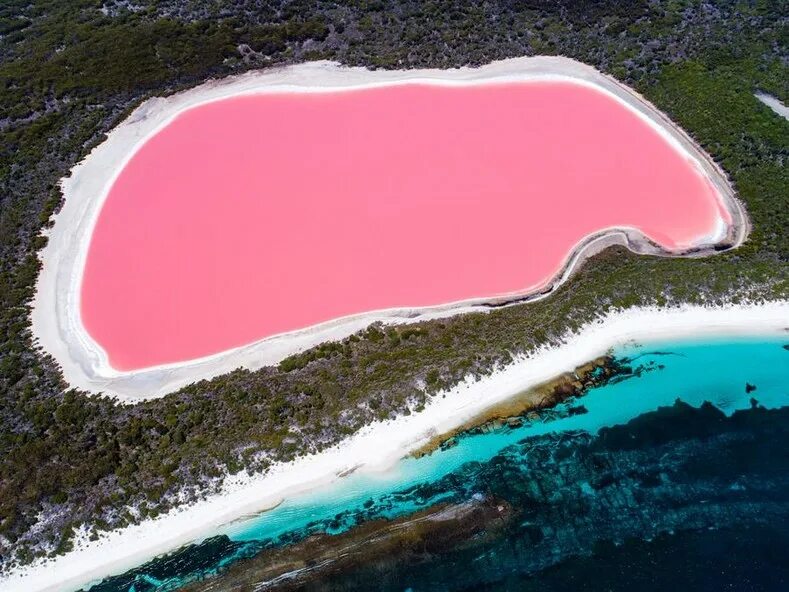 Not blue, the color of this lake in Australia is as pink as bubblegum ! Do you k
