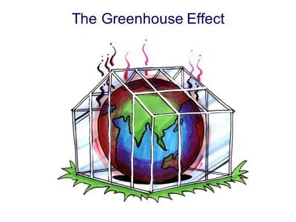 Effects house