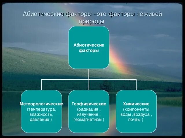 Абиотическими факторами природной среды. Абиотические факторы неживой природы. Абиотические факторы природы. Абиотические факторы это факторы неживой природы. Абиотические факторы физические и химические.