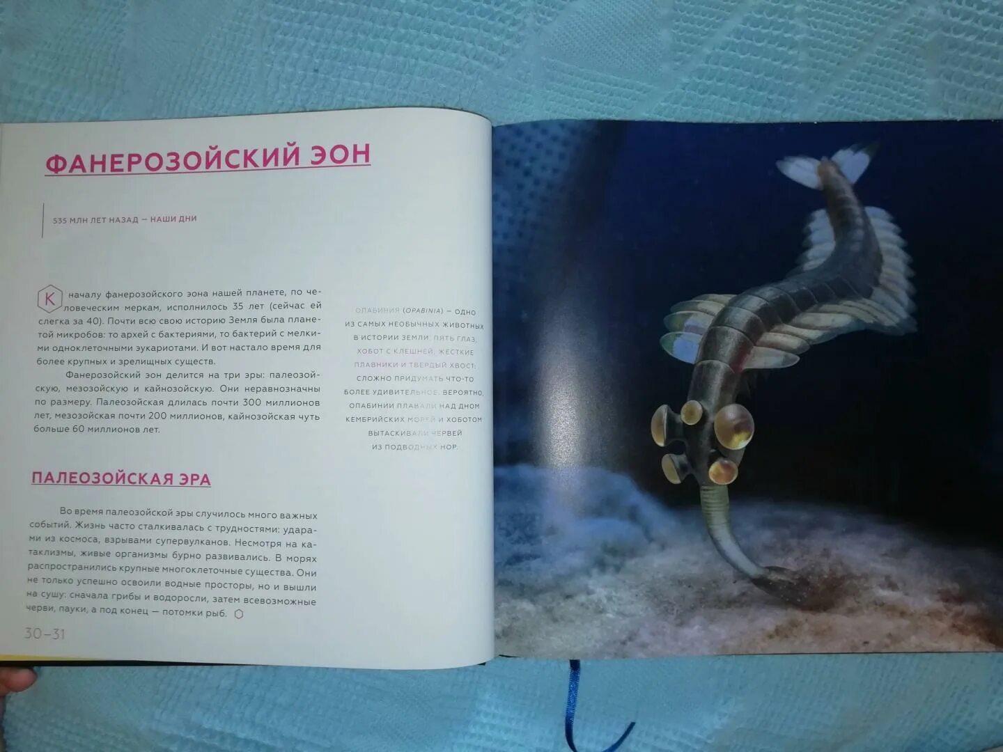 История земли от пыли к пыли. История земли от звездной пыли. история земли от звездной пыли к звездной пыли. история земли от звездной пыли к звездной пыли обложка.