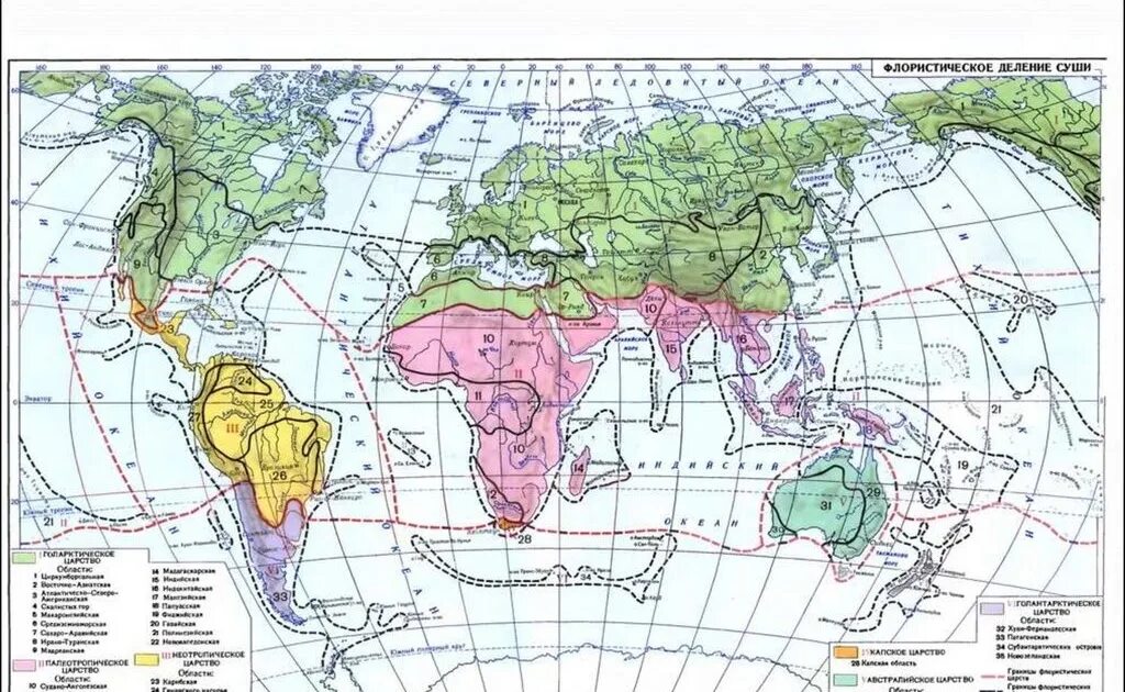 Флористическое районирование суши таблица. Карта флористического районирования. Флористическое районирование тахтаджян. Биофилотические царства и области суши карта. Биогеографическое районирование мирового океана по воронову 1987.
