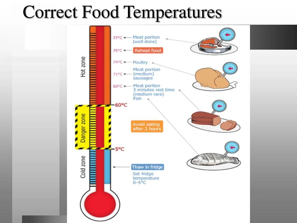 Температура пищи для человека. Temperature. Схема фритюре temperature selection. Схема.температура-пища человека. Temperature correction Table.