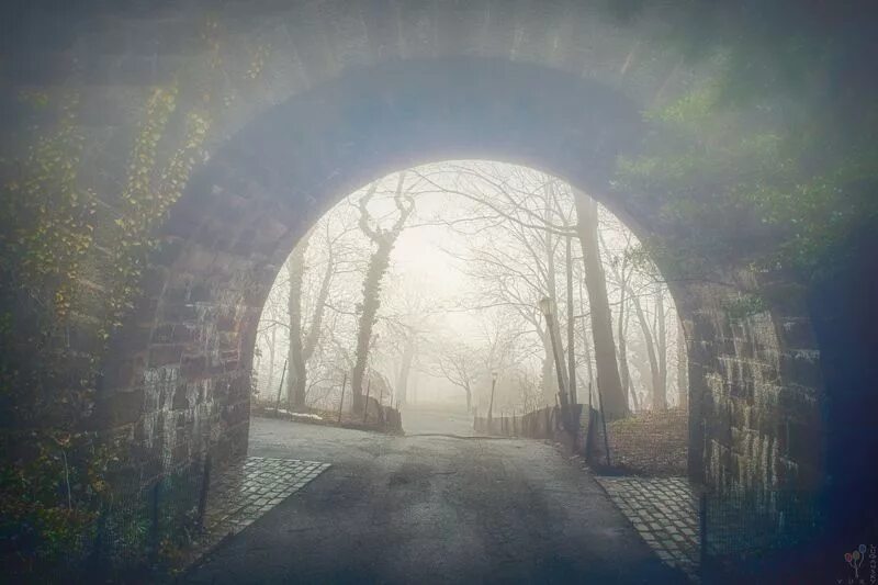Man from the fog 1.12 2. Fog style набережные. фог дом фёдора. fog arch. in the fog ru.